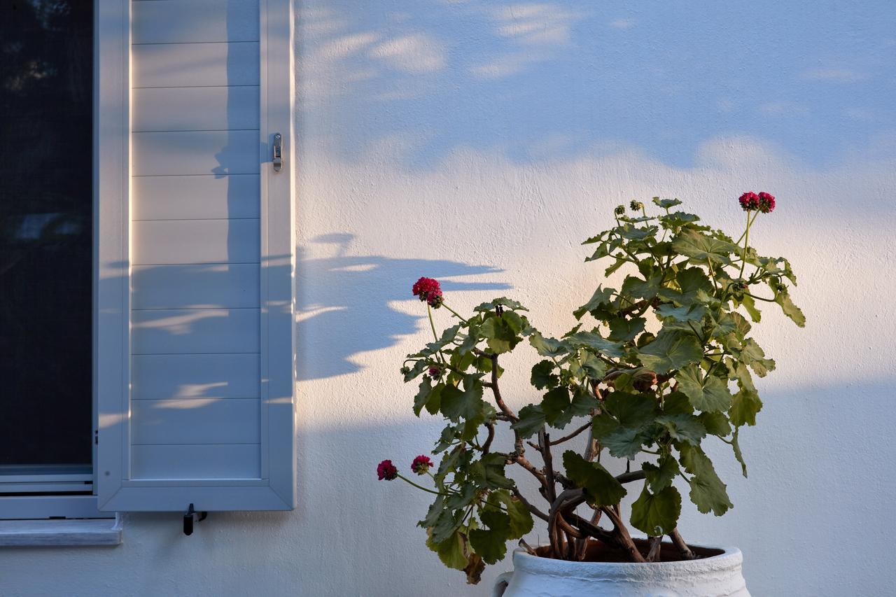 Mykonos Town Suites Eksteriør billede